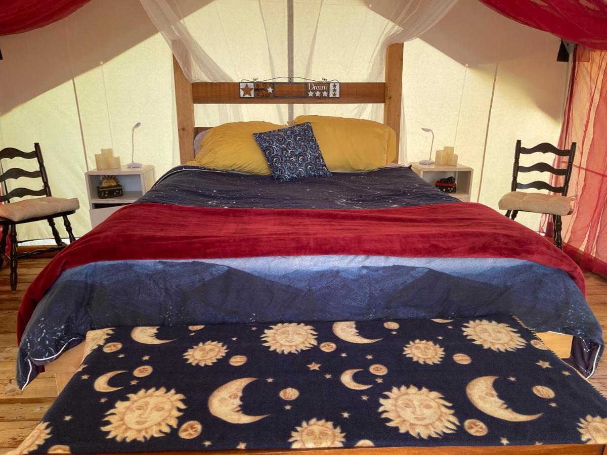 מלון אוקלולט So Damn Lucky Glamping מראה חיצוני תמונה