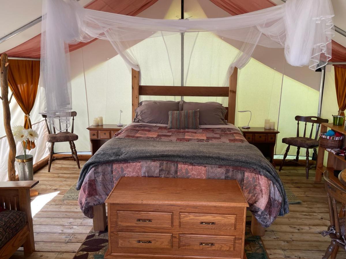 מלון אוקלולט So Damn Lucky Glamping מראה חיצוני תמונה