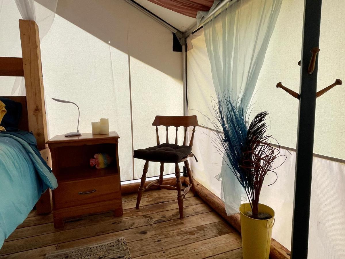 מלון אוקלולט So Damn Lucky Glamping מראה חיצוני תמונה