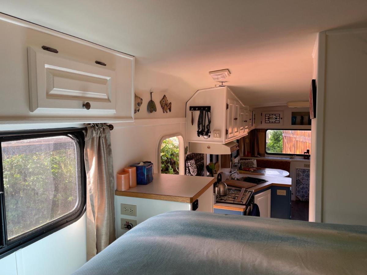 מלון אוקלולט So Damn Lucky Glamping מראה חיצוני תמונה
