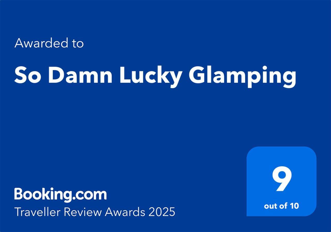 מלון אוקלולט So Damn Lucky Glamping מראה חיצוני תמונה